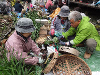 花の会講習会「民具をつかった寄せ植え作り」