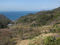 石部棚田と富士山