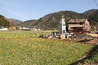 那賀の田んぼをつかった花畑