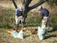 那賀バイパスにアジサイとツツジを植えました。