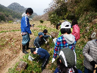 棚田百笑くらぶでホタルの幼虫を放流