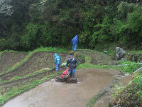 石部棚田で代掻き
