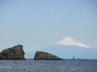 雲見海岸からの富士山