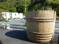 桜葉の塩漬け三十石樽