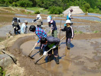棚田百笑くらぶ