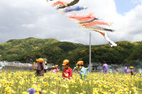 聖和保育園の園児が花摘み