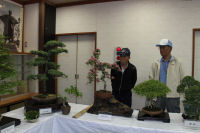 「道の駅」花の三聖苑で盆栽展