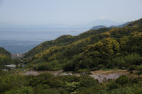 石部棚田上からの富士山