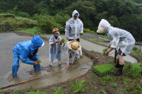 棚田田植え祭
