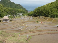 石部棚田