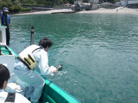 海水浴場の水質検査