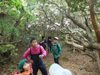 みどりの少年団が長九郎山へハイキング