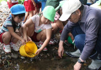 松崎幼稚園中川園の園児があゆの放流体験