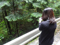 廃棄物不法投棄防止統一パトロール