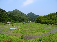 石部棚田