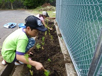 三聖塾花植えボランティア