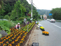 三聖苑花クラブ