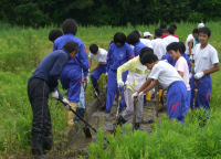 ジュニアボランティアクラブ「ゲンジボタル保護活動」
