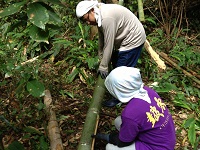 太鼓フェスティバル竹取り