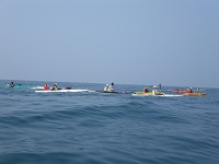 海洋クラブ 海洋クラブ