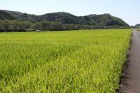 中耕地 中耕地