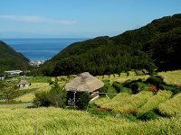 石部棚田 石部棚田