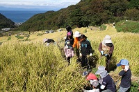 石部棚田収穫祭
