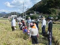 みどりの少年団 稲刈り体験活動
