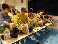 秋の寄せ植え講習会