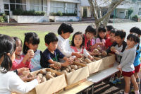 帯広市からジャガイモが届きました