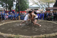 奉納相撲（共盟社・伏青会）