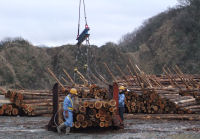松崎新港から木材の搬出