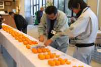 ポンカン品評会審査