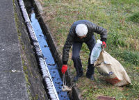 花の日一斉清掃