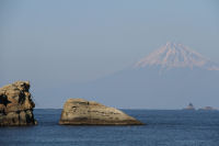 雲見海岸からの富士山