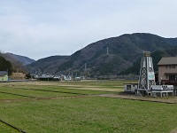 田んぼをつかった花畑