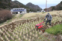 石部棚田で田おこし作業