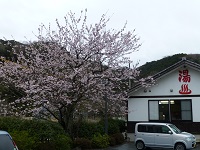 道の駅花の三聖苑