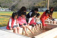 那賀の田んぼをつかった花畑で足湯オープン