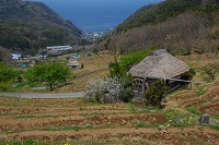 石部棚田 石部棚田