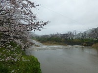 雨の那賀川