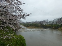 雨の那賀川 雨の那賀川