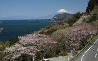 富士山 富士山
