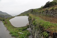 棚田 棚田