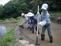 百笑くらぶ畦塗り