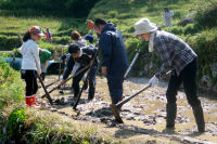 石部棚田の畦塗り