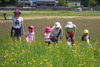 松崎幼稚園中川園