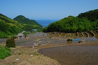 棚田 棚田