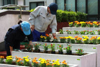 校外学習 校外学習