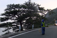 松くい虫防除 松くい虫防除